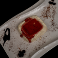 Panacotta Della Casa - Nonnas Pizzeria